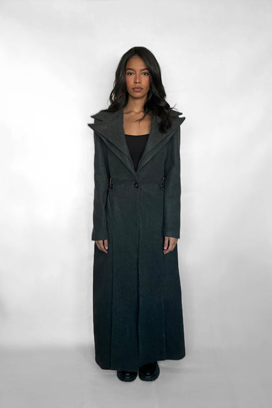 Long Gray Coat