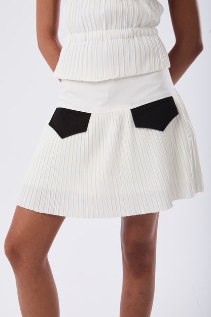 Pleated Skirt